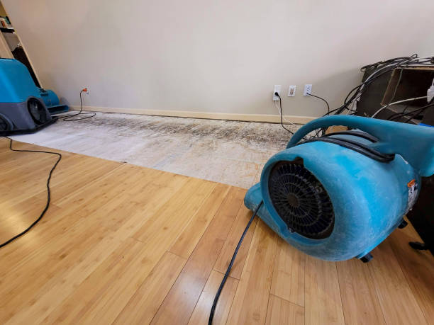 Professional Water Damage Repair technician working in New Weston, OH
